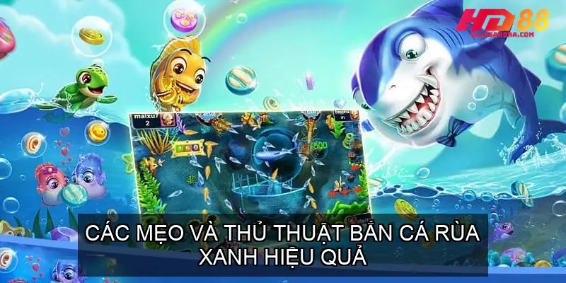 Các Mẹo và Thủ Thuật Bắn Cá Rùa Xanh Hiệu Quả 11 ban ca rua xanh 68f73e24d3ab2