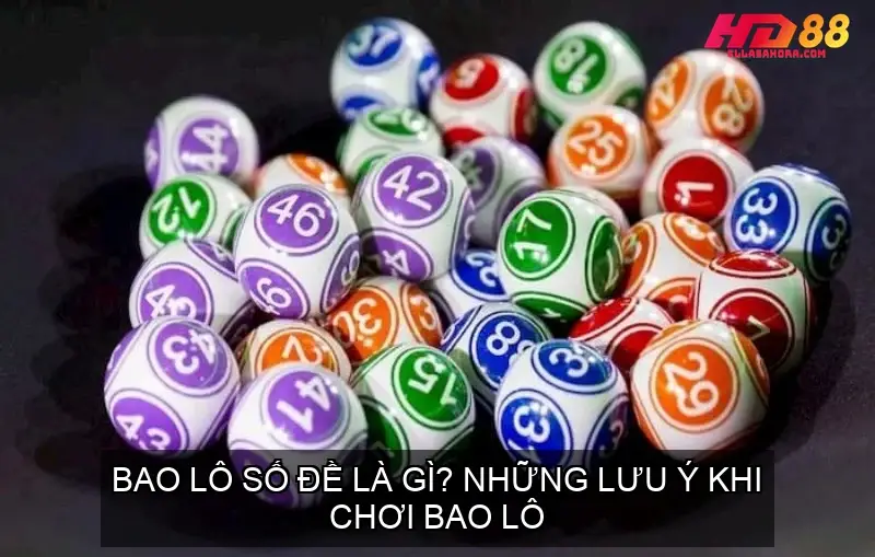 Bao Lô Số Đề Là Gì? Những Lưu Ý Khi Chơi Bao Lô 8 bao lo so de 68f73e3a642c4