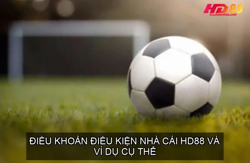 Điều Khoản Điều Kiện Nhà Cái HD88 Và Ví Dụ Cụ thể 2 dieu khoan dieu kien 68f34165dbec5