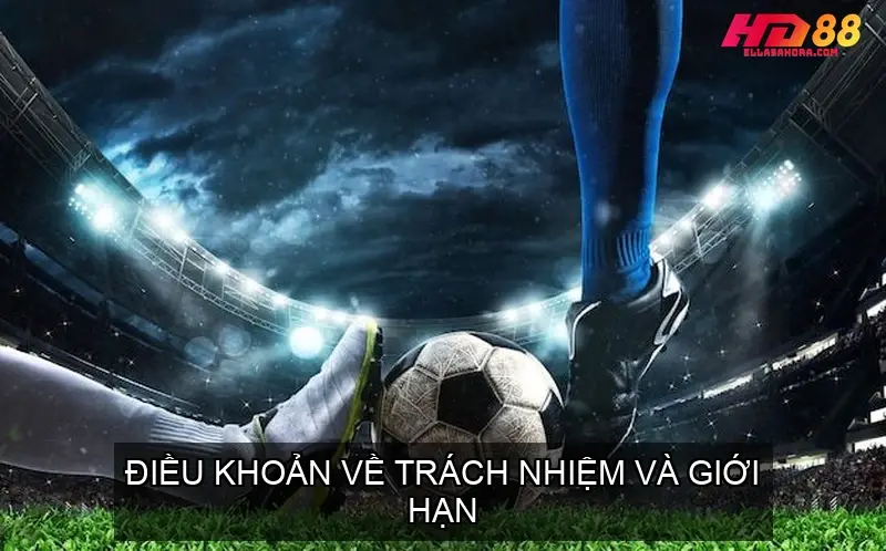 Điều Khoản Về Trách Nhiệm và Giới Hạn