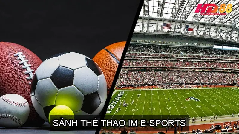 Sảnh Cá Cược Thể Thao HD88 - Các Lựa Chọn Hàng Đầu 5 Sảnh Thể Thao IM E-Sports