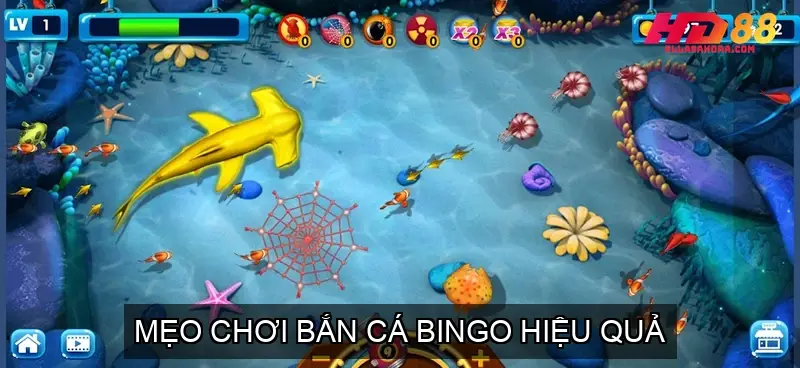 Top 5 Game Bắn Cá Bingo Được Yêu Thích Nhất Tại HD88 4 Mẹo Chơi Bắn Cá Bingo Hiệu Quả